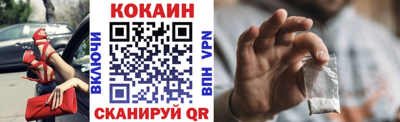 COCAIN Fish Scale  Купить где  Циолковский 